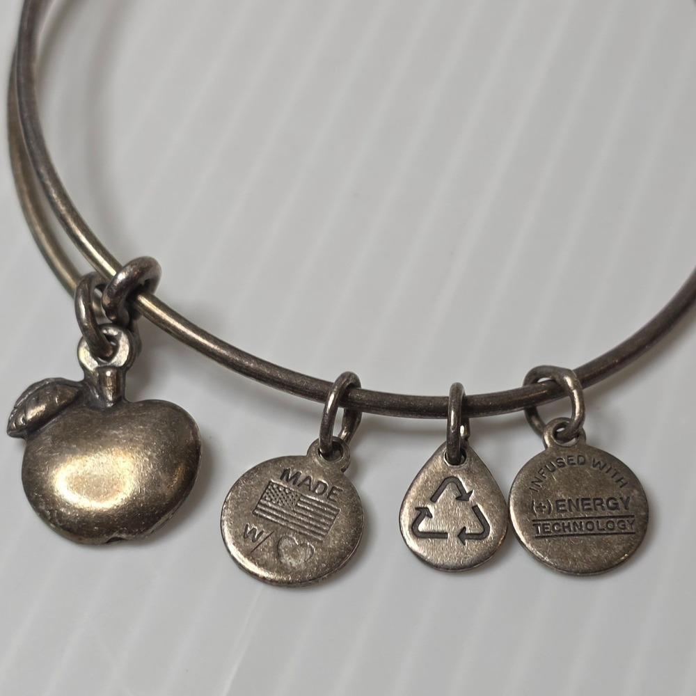 Alex and Ani Apple Charm Bangle OS Silver Fair US D498,167